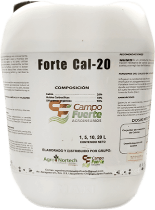 Forte Cal-20