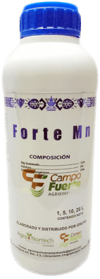 Forte Mn