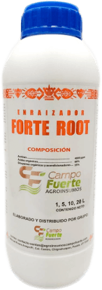 Forte Root